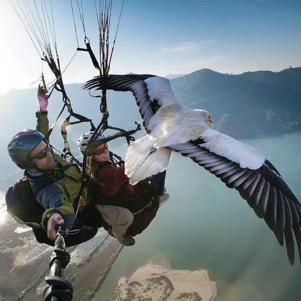 The best pictures of the week - #11 