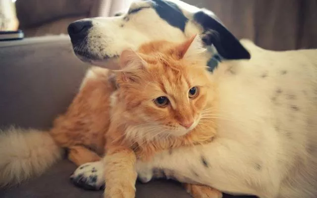 The best pictures of the week - #14 