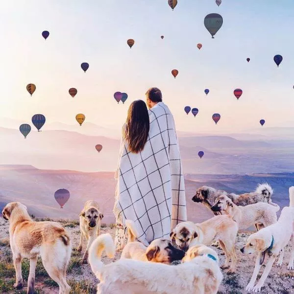The best pictures of the week - #16 