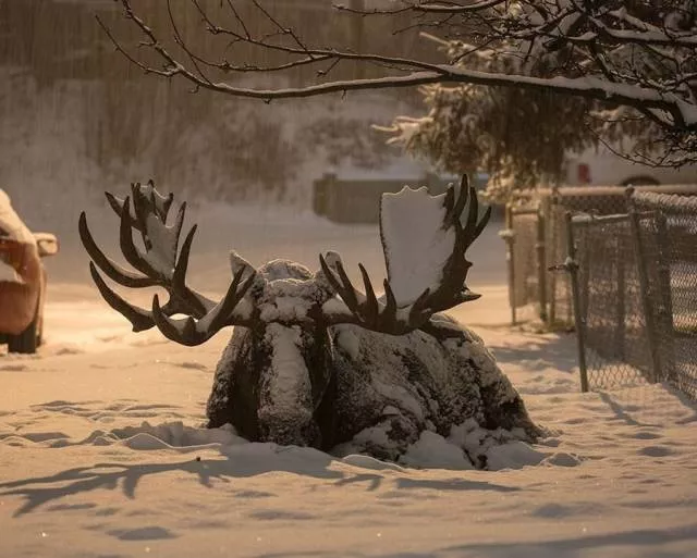 The best pictures of the week - #18 
