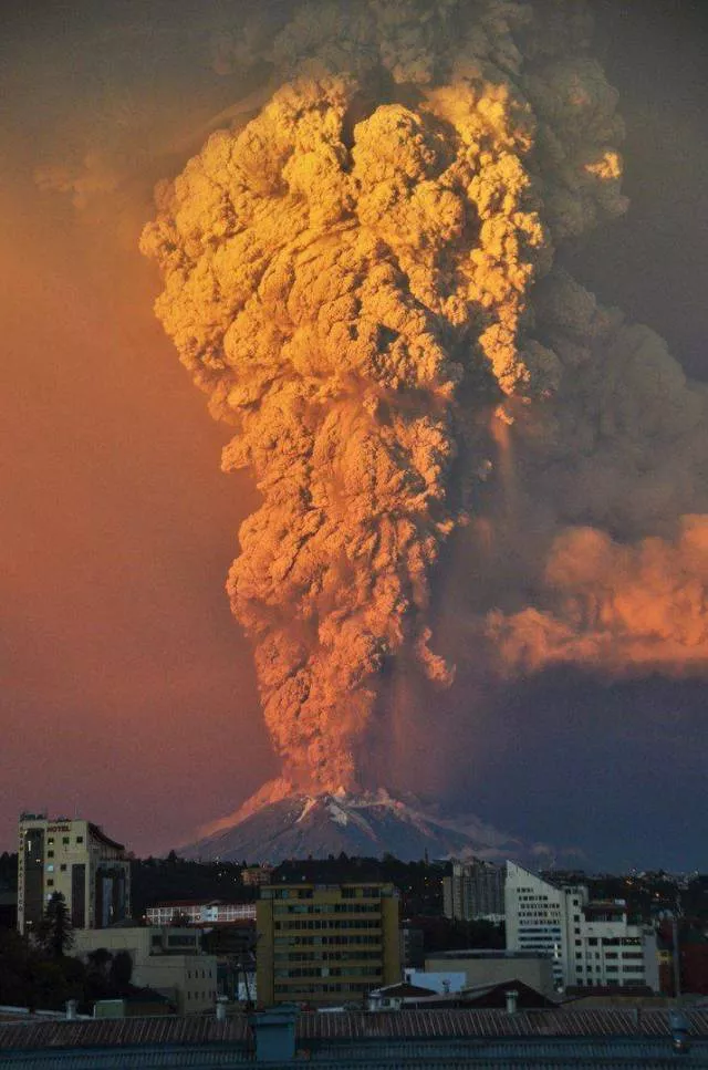 The best pictures of the week - #20 
