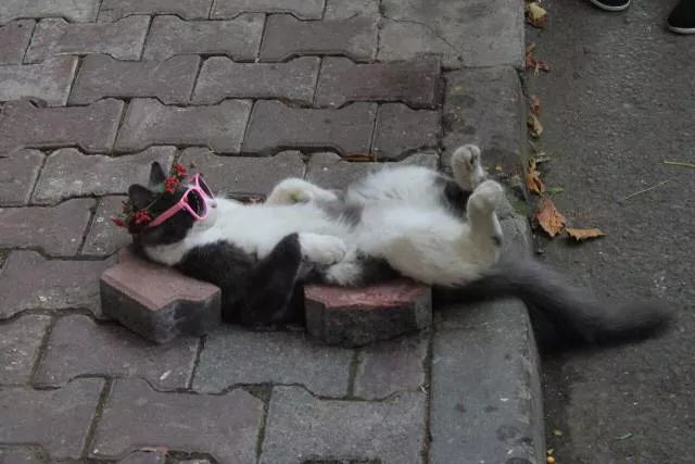 The best pictures of the week - #21 