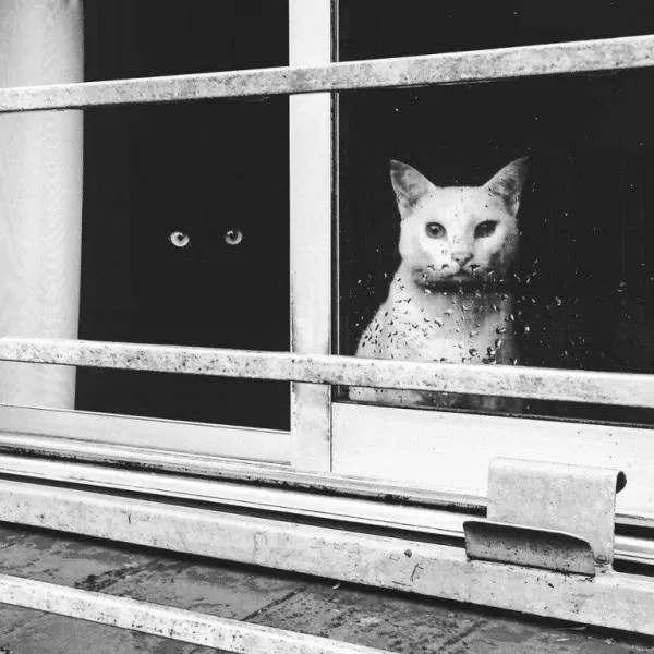 The best pictures of the week - #22 