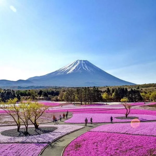 The best pictures of the week - #28 