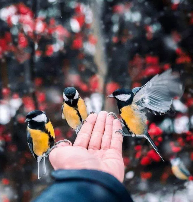 The best pictures of the week - #3 