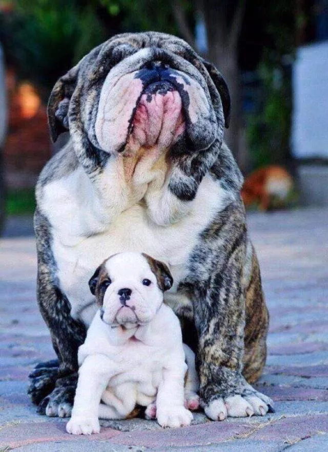 The best pictures of the week - #31 
