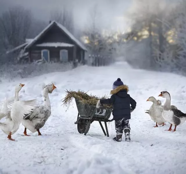 The best pictures of the week - #32 