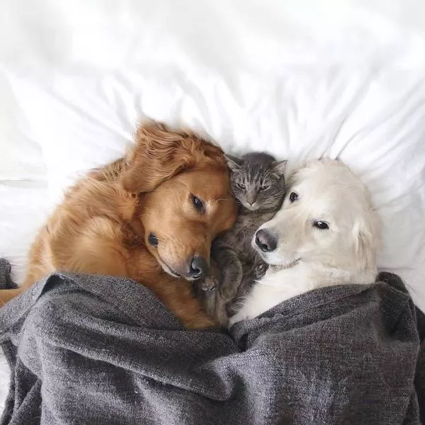 The best pictures of the week - #34 