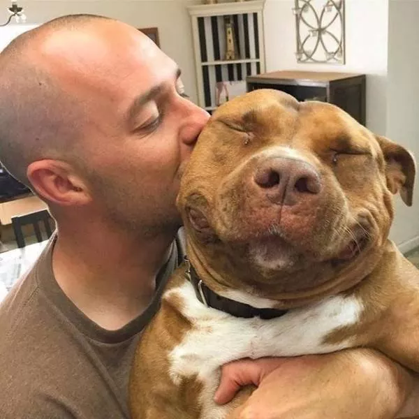The best pictures of the week - #37 