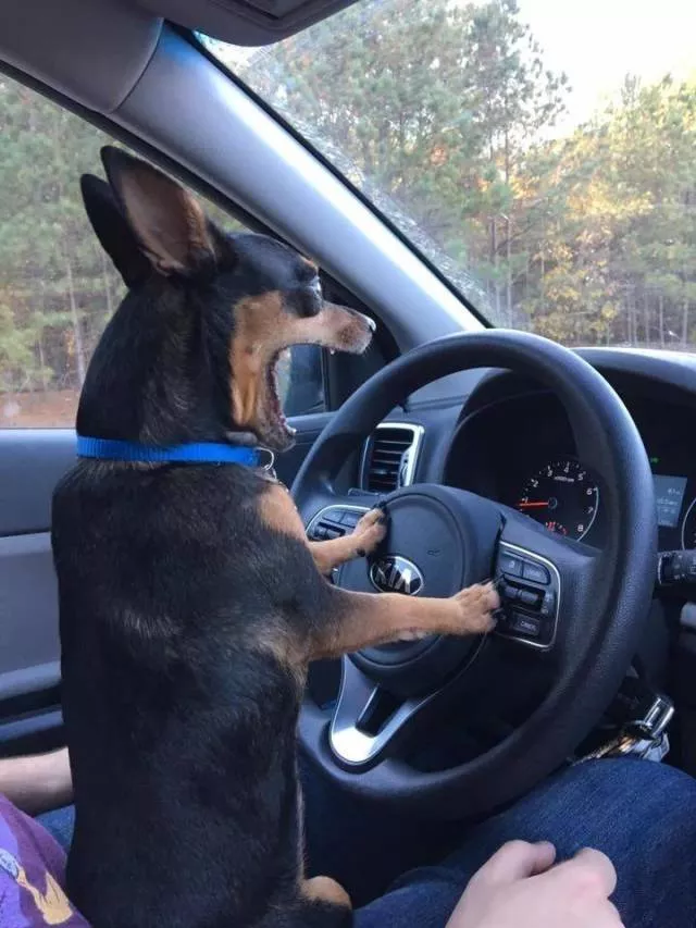 The best pictures of the week - #39 