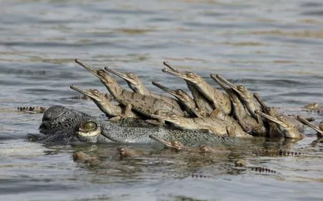 The best pictures of the week