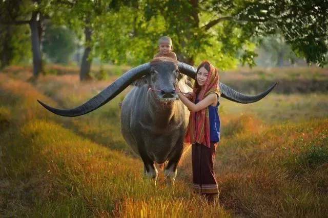 The best pictures of the week