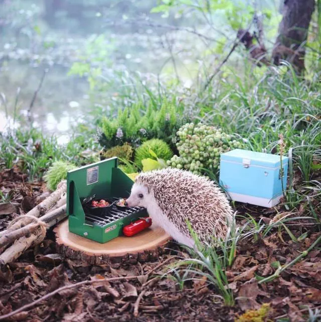 The best pictures of the week - #44 The best pictures of the week - #44