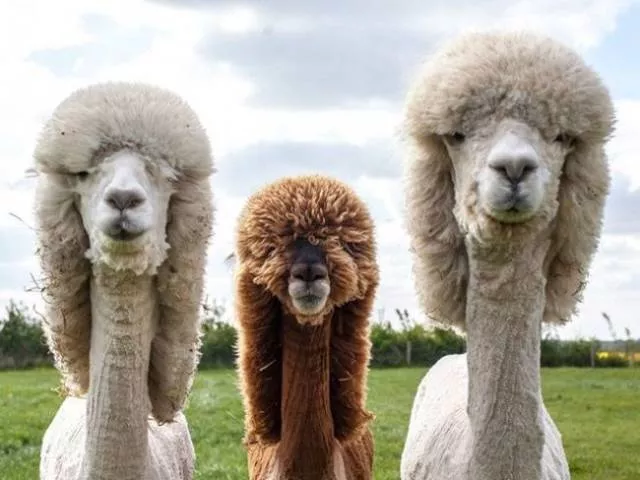 The best pictures of the week - #46 The best pictures of the week - #46