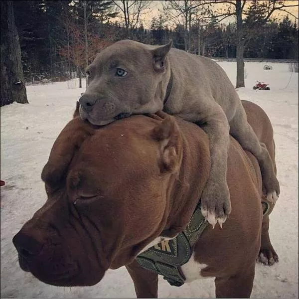 The best pictures of the week - #48 The best pictures of the week - #48