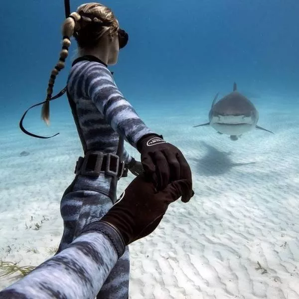 The best pictures of the week - #6 
