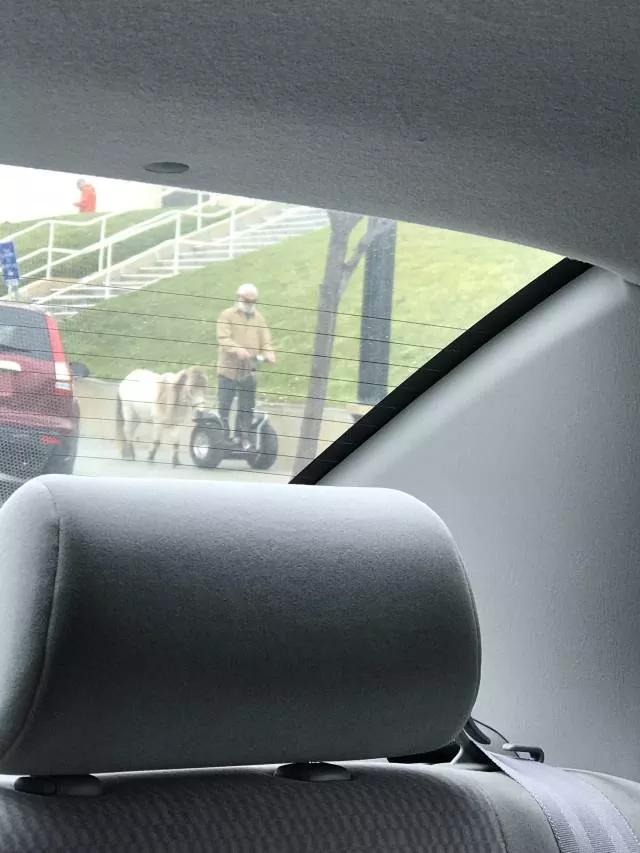 Picdump 304 - #3 