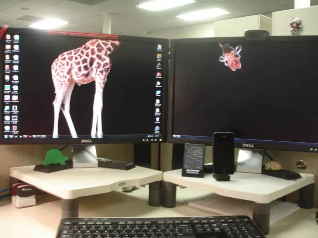 Bureaux organises de maniere creative - #9 