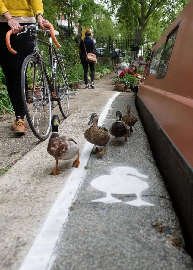 Picdump 305 - #23 