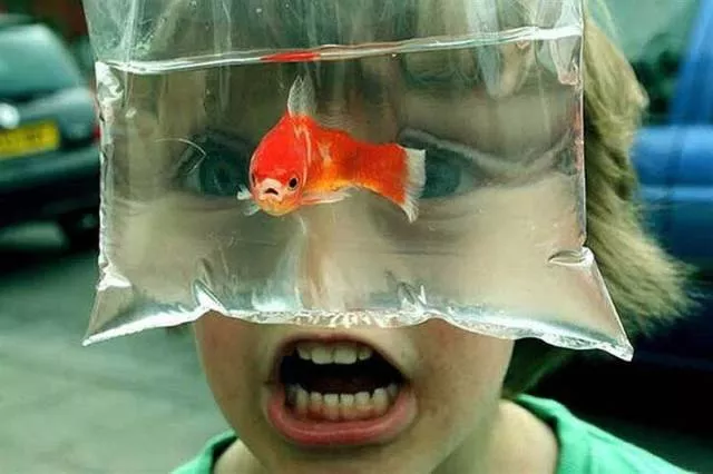 Picdump 305 - #35 
