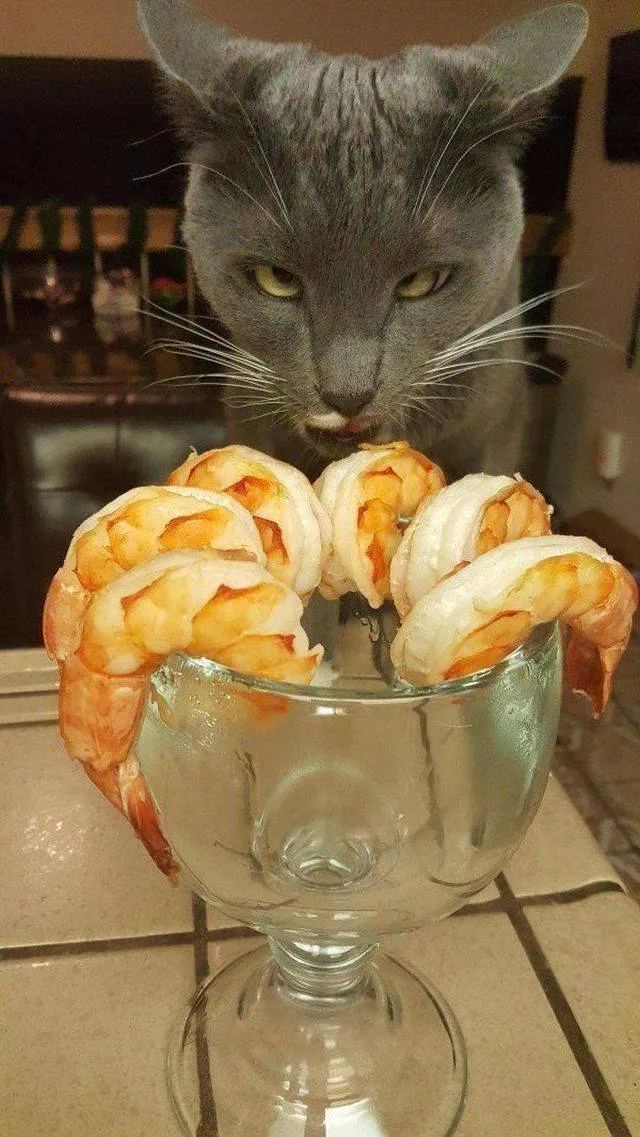 Picdump 305 - #45 