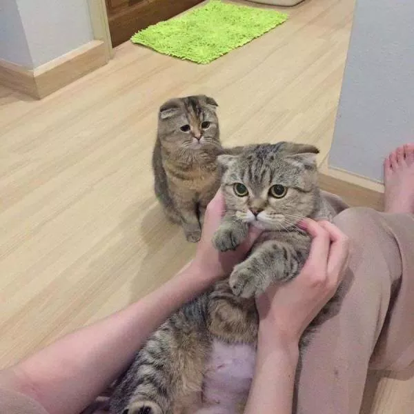 Picdump 305 - #55 