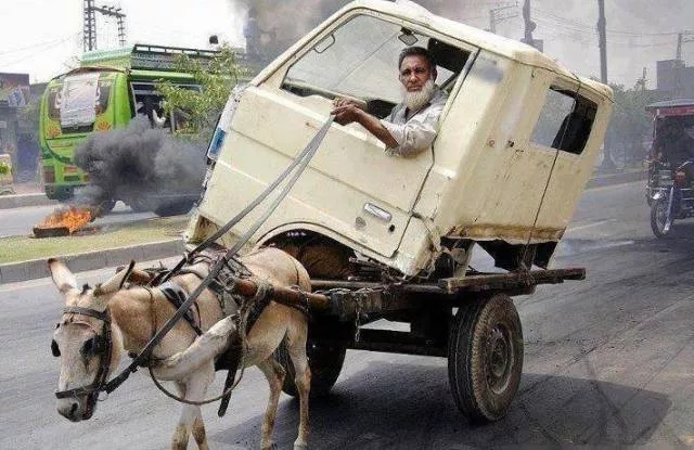 Picdump 305 - #70 