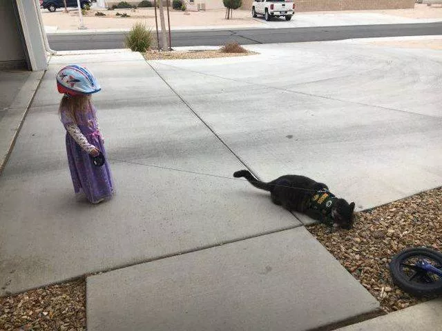 Picdump 305 - #74 