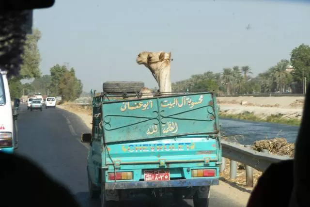Picdump 307 - #43 