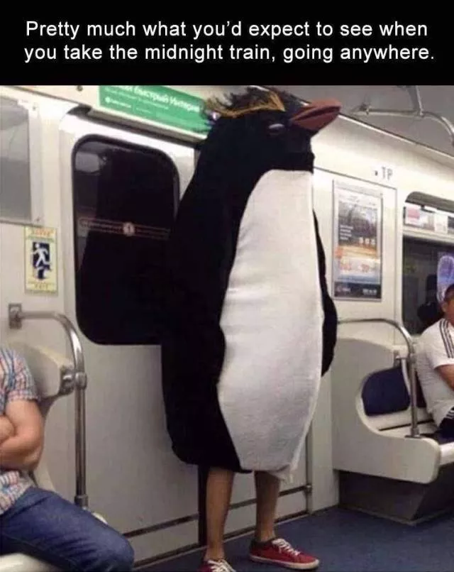 Picdump 307 - #45 