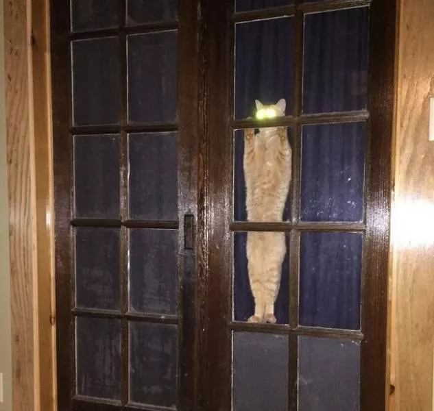 We do not see these images every day - #1 