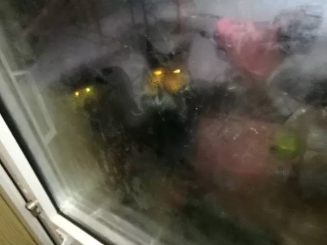 We do not see these images every day - #10 