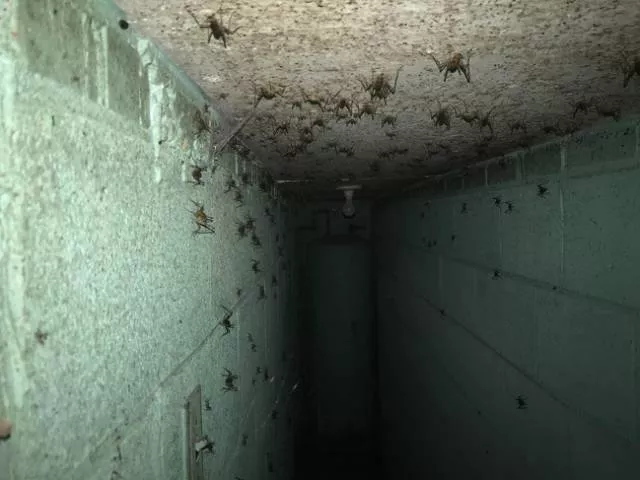 We do not see these images every day - #11 