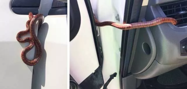 We do not see these images every day - #13 