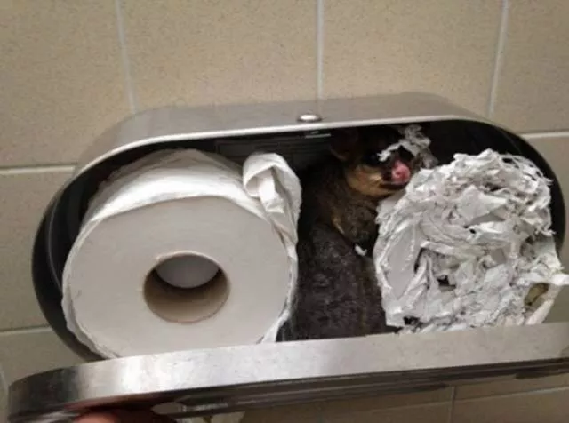 We do not see these images every day - #15 
