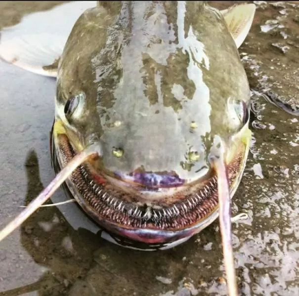 We do not see these images every day - #19 