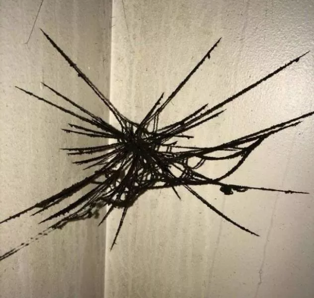 We do not see these images every day - #27 