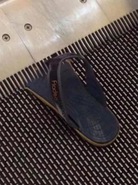 We do not see these images every day - #28 