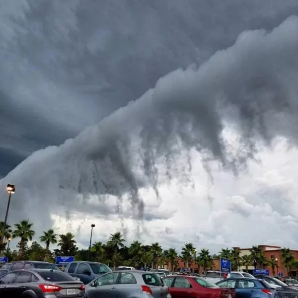 We do not see these images every day - #30 