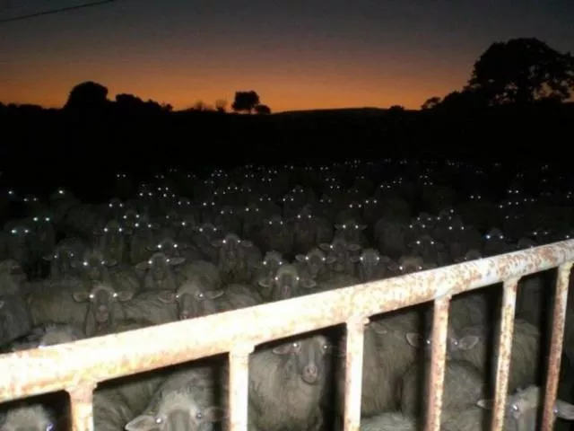 We do not see these images every day - #37 