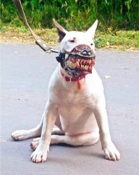 We do not see these images every day - #5 