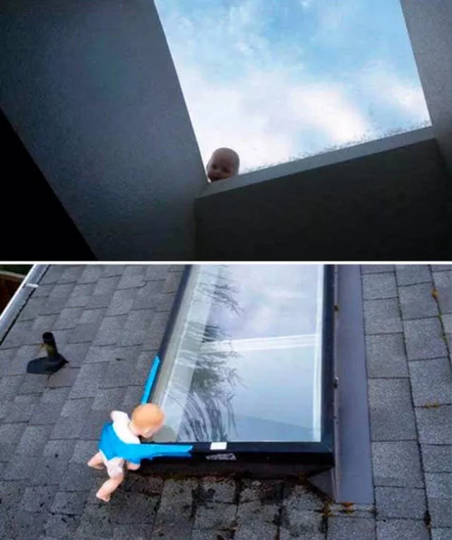 We do not see these images every day - #8 