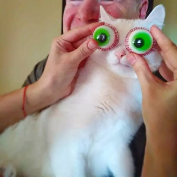 Picdump 308 - #19 