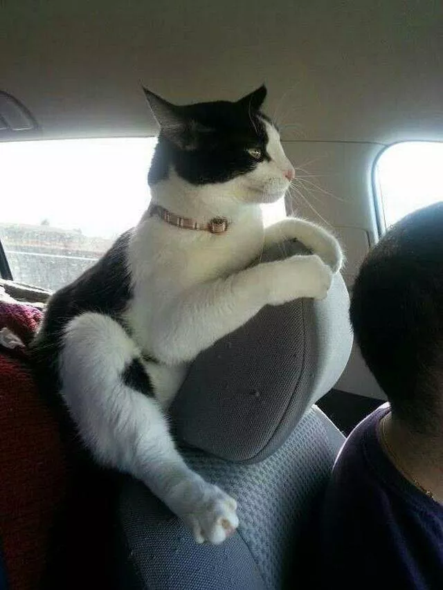 Picdump 308 - #33 