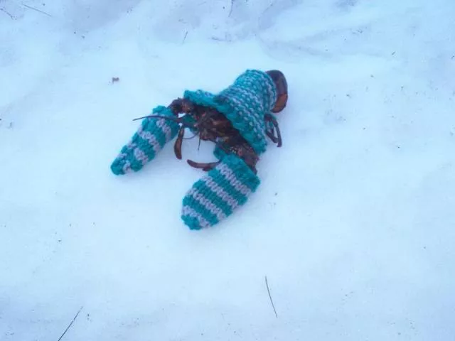 Picdump 308 - #41 