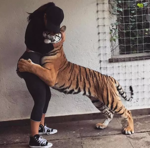 Picdump 308