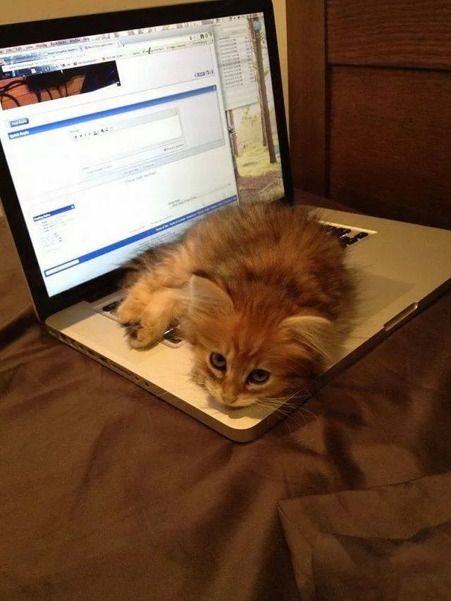 Picdump 308 - #53 