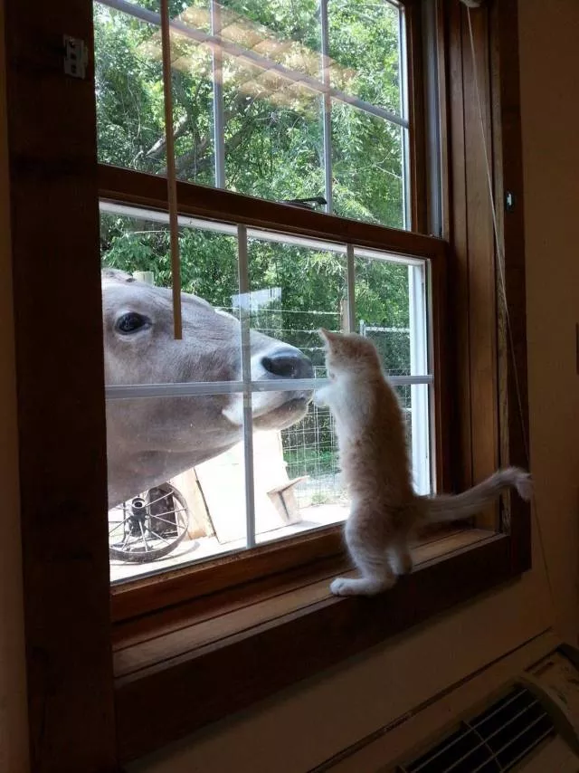 Picdump 308 - #55 