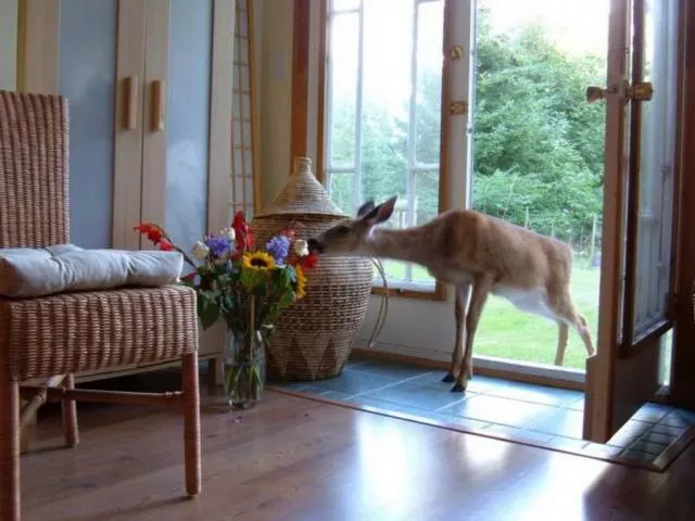 Picdump 308 - #90 