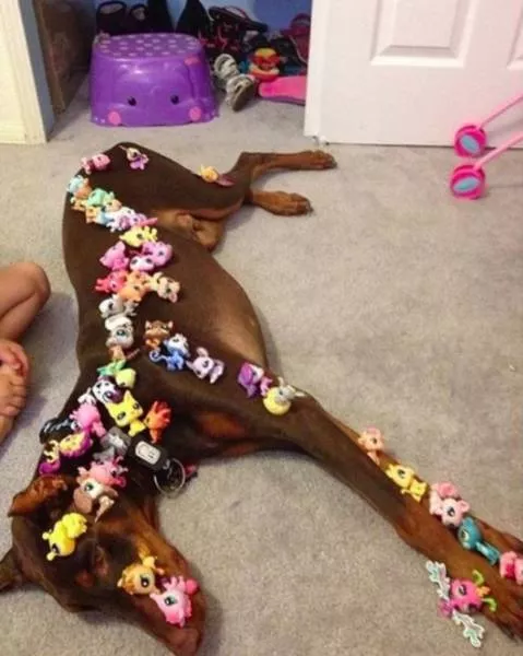 Cute babies who are naturally destructive - #11 